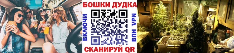 Бошки марихуана SATIVA & INDICA  цены наркотик  Высоковск 